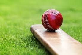 cricket image 1